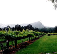Cambewarra Estate Wines - Australia Accommodation