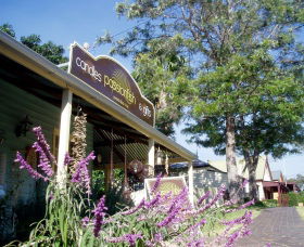 Passionfish Candles - Australia Accommodation 0
