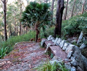 Wodi Wodi Walking Track - Australia Accommodation 0