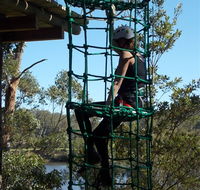 Trees Adventure Shoalhaven - Australia Accommodation