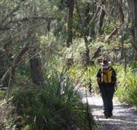 Barren Grounds Nature Reserve - Australia Accommodation