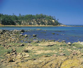 Aslings Beach - Australia Accommodation 0