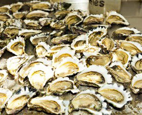 Wheelers Oysters - Australia Accommodation 0