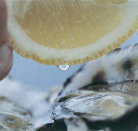 Pearly Oyster Bar and Farm - Australia Accommodation
