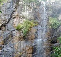 Wedding Bells Forest Drive - Australia Accommodation