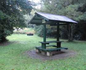 Pine Creek State Forest - Australia Accommodation 0
