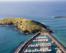 Muttonbird Island Nature Reserve - Australia Accommodation 0