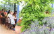 Brindabella Hills Winery - thumb 1