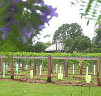Douglas Vale Historic Homestead  Vineyard - Australia Accommodation