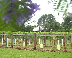 Douglas Vale Historic Homestead & Vineyard - Australia Accommodation 0