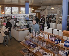 Pokolbin Estate Vineyard - Australia Accommodation 2