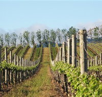 Philip Shaw Wines - Australia Accommodation