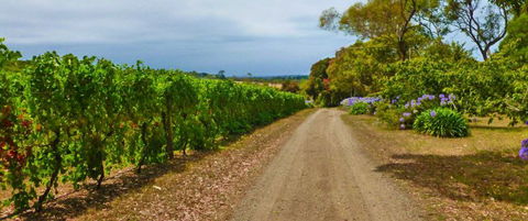 Merricks Estate - Australia Accommodation 1