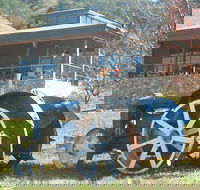 Lake George Winery - Australia Accommodation