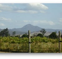 Ironbark Ridge Vineyard - Australia Accommodation