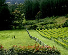 Prancing Horse Estate - Australia Accommodation 2