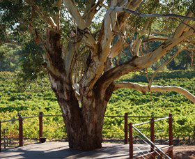 Upper Reach Winery And Cellar Door - Australia Accommodation 1