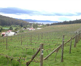 St Imre Vineyard - Australia Accommodation 1