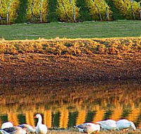 Pipers Brook Vineyard - Australia Accommodation