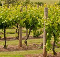 Mt Coghill Vineyard - Australia Accommodation