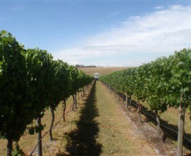Cannibal Creek Vineyard - Australia Accommodation 1