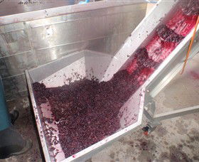 Cannibal Creek Vineyard - Australia Accommodation 6
