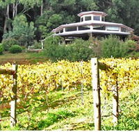 Peveril Vineyard/Beechy Berries - Australia Accommodation