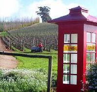 Dalrymple Vineyards - Australia Accommodation