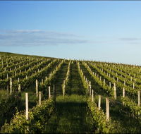 Delamere Vineyard - Australia Accommodation
