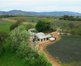 Staghorn Flat VIC Australia Accommodation
