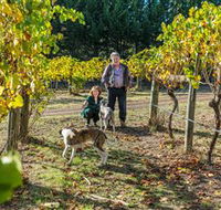 Little River Wines of Taggerty - Australia Accommodation