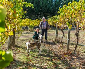 Little River Wines Of Taggerty - Australia Accommodation 0