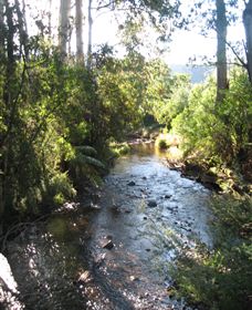 Little River Wines Of Taggerty - Australia Accommodation 5