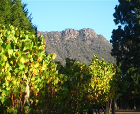 Little River Wines Of Taggerty - Australia Accommodation 6