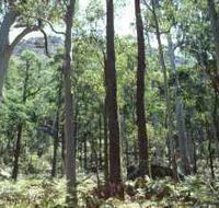 Cathedral Range State Park - Australia Accommodation
