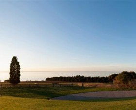 Jack Rabbit Vineyard - Australia Accommodation 3