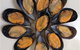 Advance Mussel Supply - thumb 3