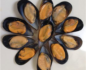 Advance Mussel Supply - Australia Accommodation 3