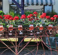 Van Loon's Nursery - Australia Accommodation