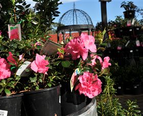 Van Loon's Nursery - Australia Accommodation 1