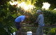 Oakdene Vineyards Restaurant And Cellar Door - thumb 3