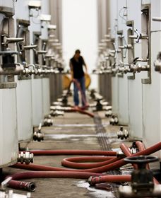 Punt Road Winery - Australia Accommodation 5