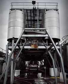 Punt Road Winery - Australia Accommodation 8