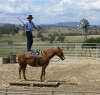 Boggy Creek Shows - Australia Accommodation