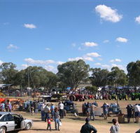 Quirindi Rural Heritage Village - Australia Accommodation