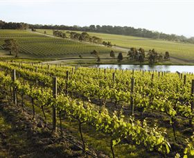 Yabby Lake Vineyard & Cellar Door - Australia Accommodation 7