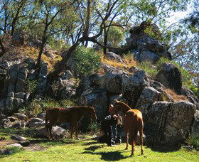  Australia Accommodation