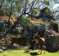 Coomba Falls - Australia Accommodation