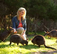 Moonlit Sanctuary Wildlife Conservation Park - Australia Accommodation