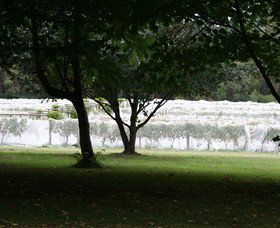 Staindl Wines - Australia Accommodation 0